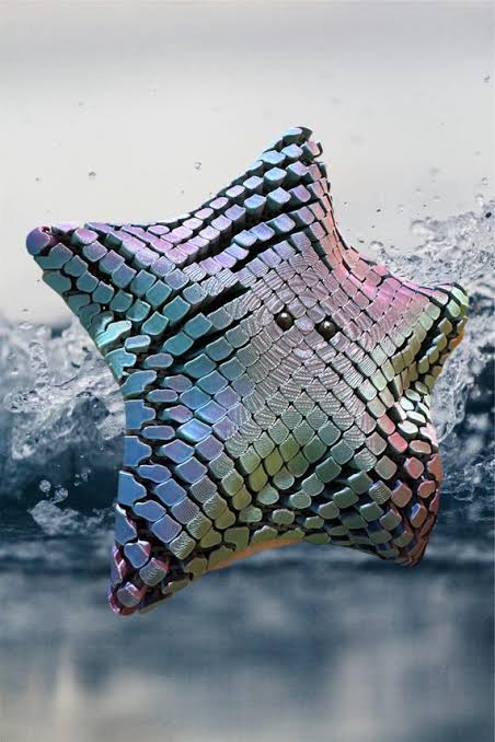 Starfish fidget